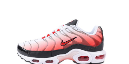 Air Max TN Plus - Mldripanddrop