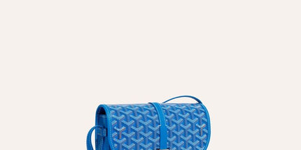 Goyard Belvédère PM – Timeless Elegance in a Compact Form - Mldripanddrop