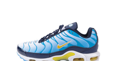 Air Max TN Plus - Mldripanddrop