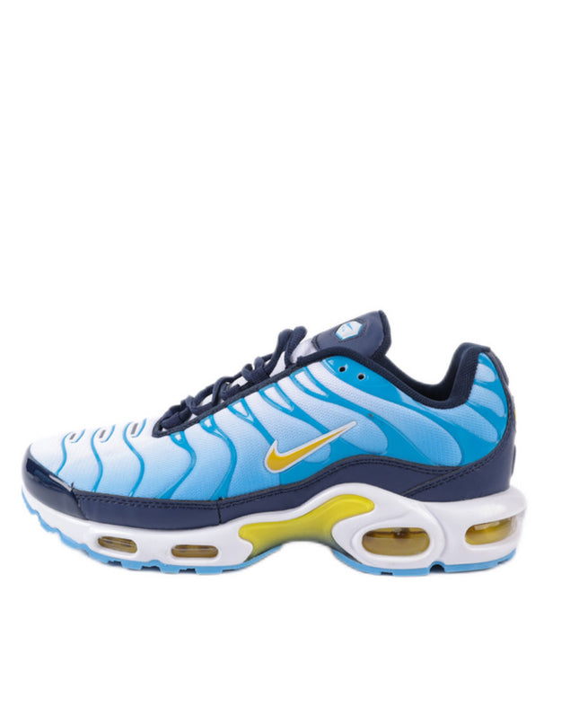 Air Max TN Plus - Mldripanddrop