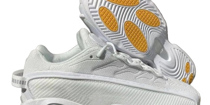 Untitled Jan13_08:10 Mldrip