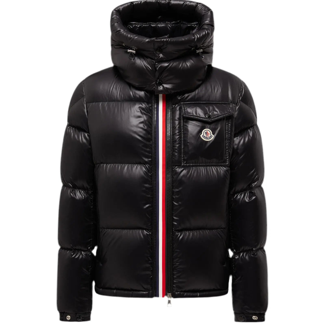Moncler Montbeliard Down Jacket Hooded black-14 Mldrip
