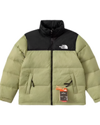 light-green-the-north-face