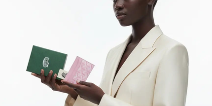 Goyard Saint Sulpice Cardholder Mldrip