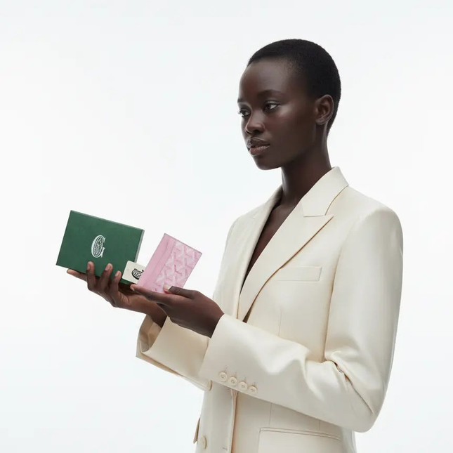 Goyard Saint Sulpice Cardholder Mldrip