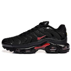 All black and red ticks