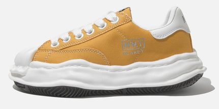 canvas shoes