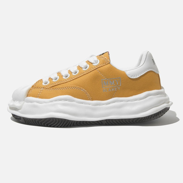 canvas shoes