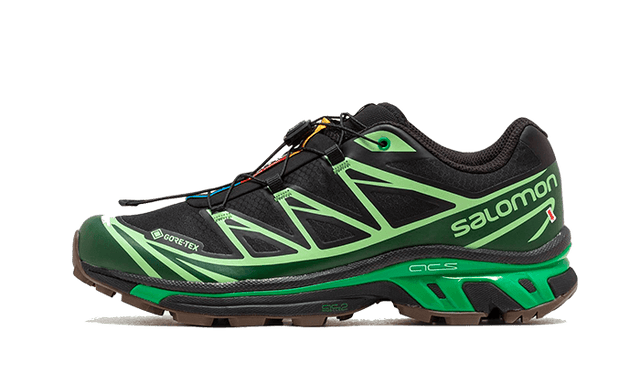 Salomon XT-6 Gore-Tex - Eden Green Ash