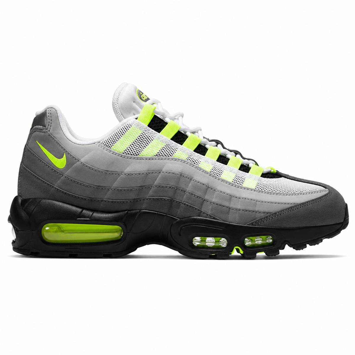 AM95