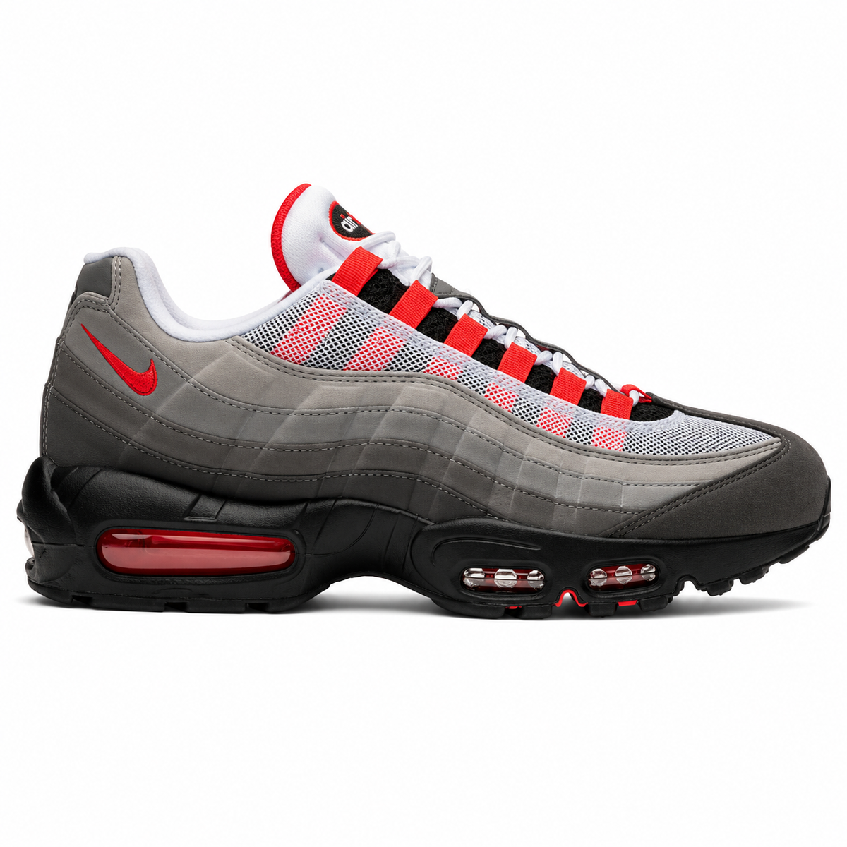 AM95