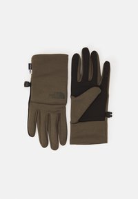 The North Face Etip Gloves in New Taupe Green